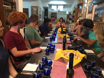 Wine tasting tour Spain study abroad teacher programs Professional development Spain